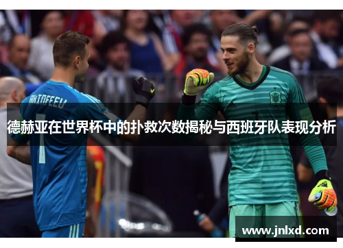 德赫亚在世界杯中的扑救次数揭秘与西班牙队表现分析