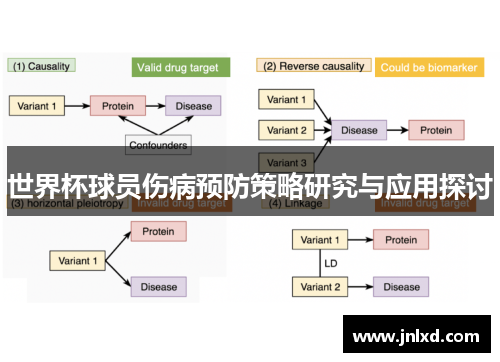 世界杯球员伤病预防策略研究与应用探讨