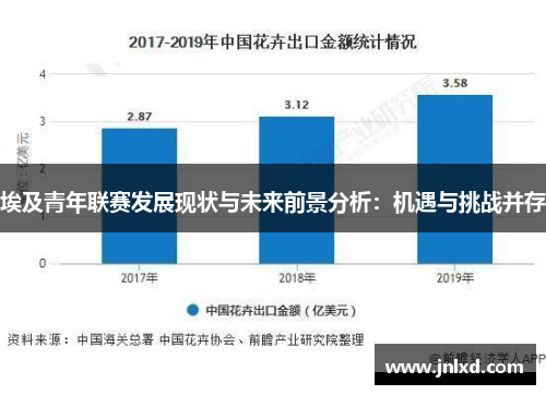 埃及青年联赛发展现状与未来前景分析：机遇与挑战并存